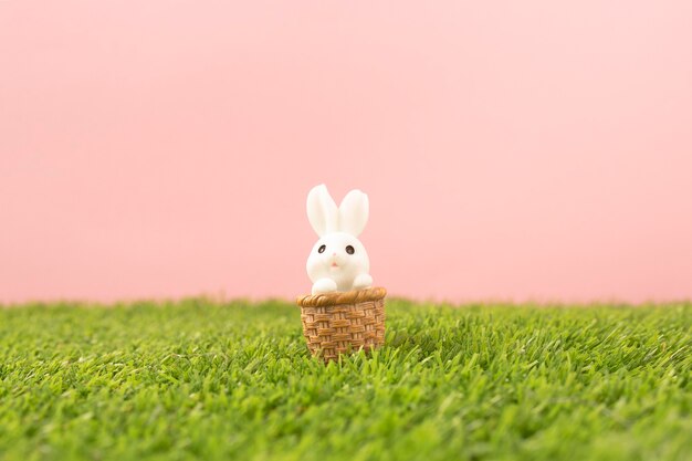 Coniglietto di Pasqua sull'erba