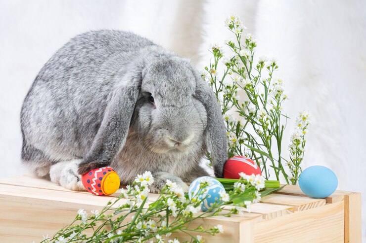 Foto gratuito coniglio e uova di pasqua in verde