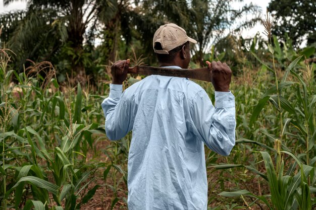 Contadino a colpo medio nel campo di grano