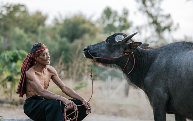 Contadino anziano a torso nudo e turbante in perizoma che parla con il bufalo dopo aver lavorato in agricultrue, fumo sullo sfondo e spazio di copia, scena rurale della campagna in Thailandia