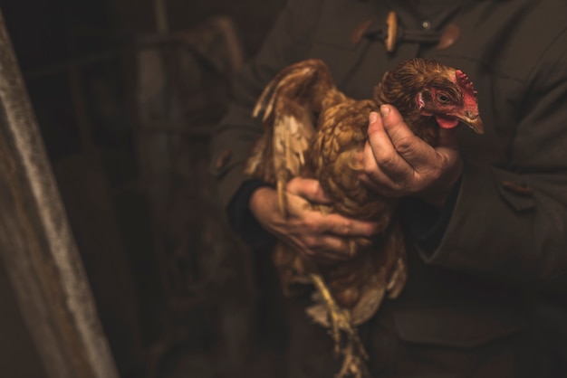 Contadino irriconoscibile con pollo