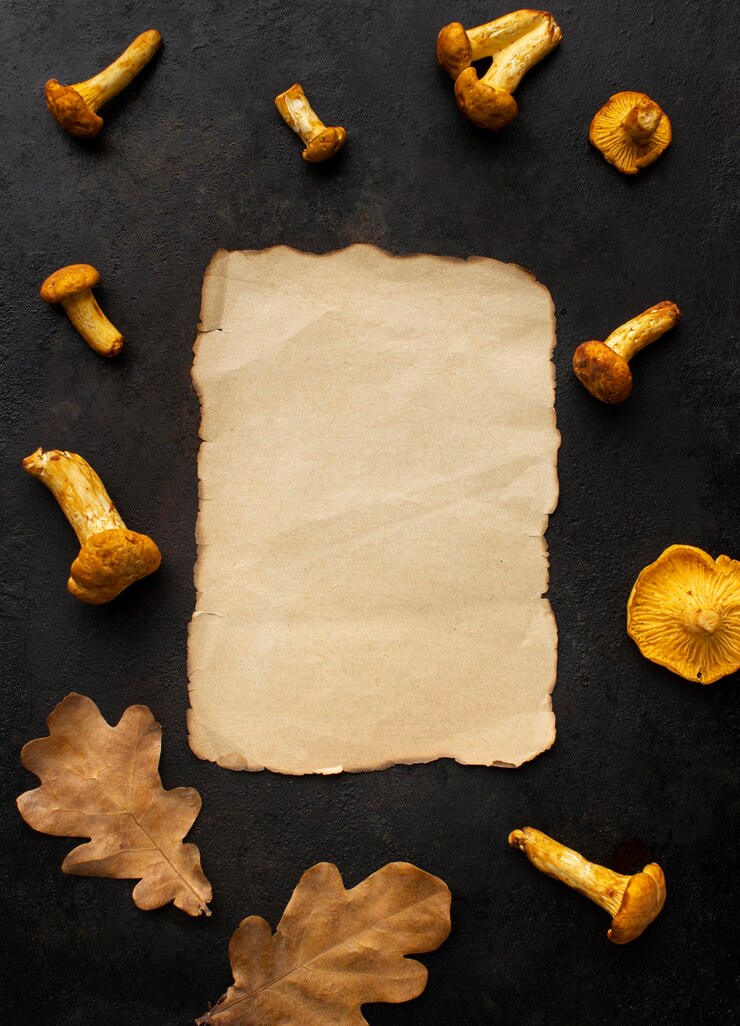 Foto gratuito copi la carta dello spazio circondata dai funghi