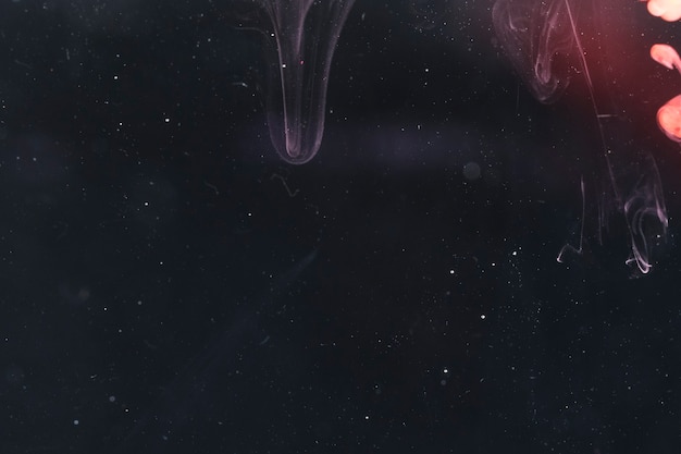 Copia spazio nero notte stellata