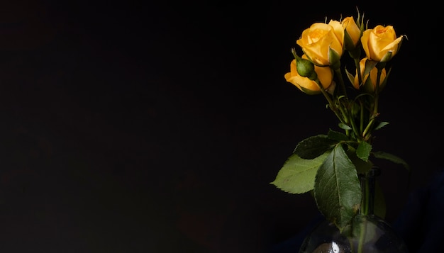 Copia-spazio rose gialle in vaso