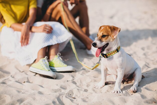 Coppia giovane elegante hipster in amore camminare e giocare con il cane in spiaggia tropicale