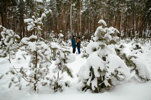 Coppia in amore che cammina nella pineta innevata. Storia d&#39;amore invernale