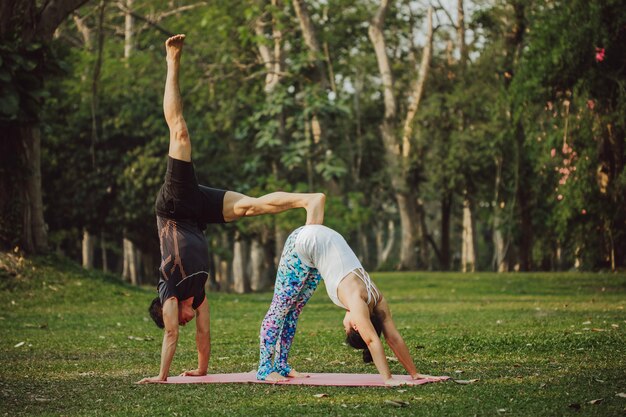 Coppia in posa professionale di yoga