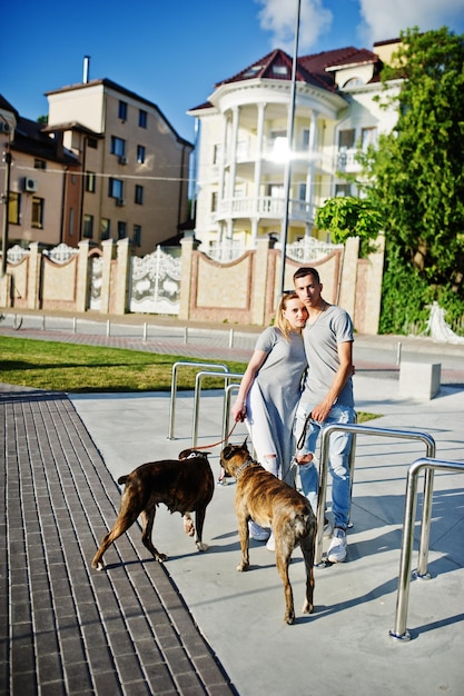 Coppia innamorata di due cani pitbull terrier durante una passeggiata