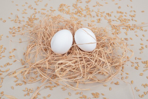 Coppia uovo di gallina marrone su sfondo bianco. Foto di alta qualità