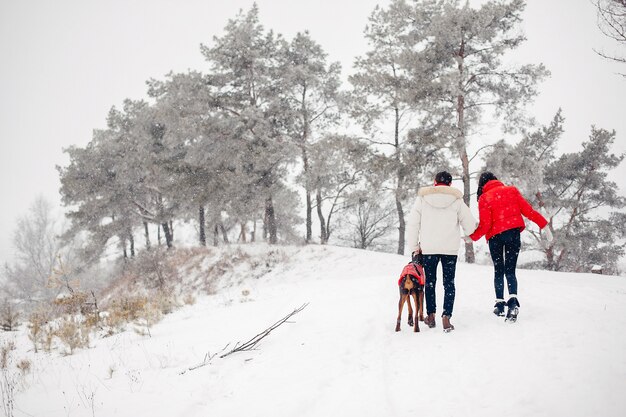 Coppie amorose che camminano in un parco di inverno