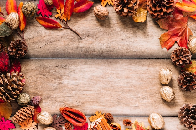 Cornice autunnale di foglie e coni