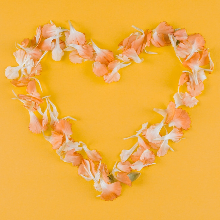 Foto gratuito cornice cuore petali vista dall'alto