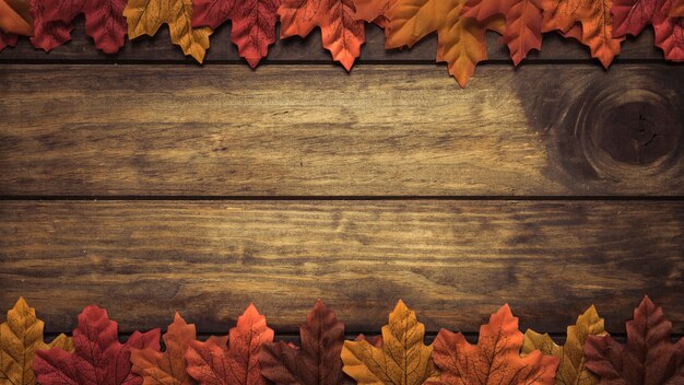 Cornice di foglie d&#39;acero in autunno