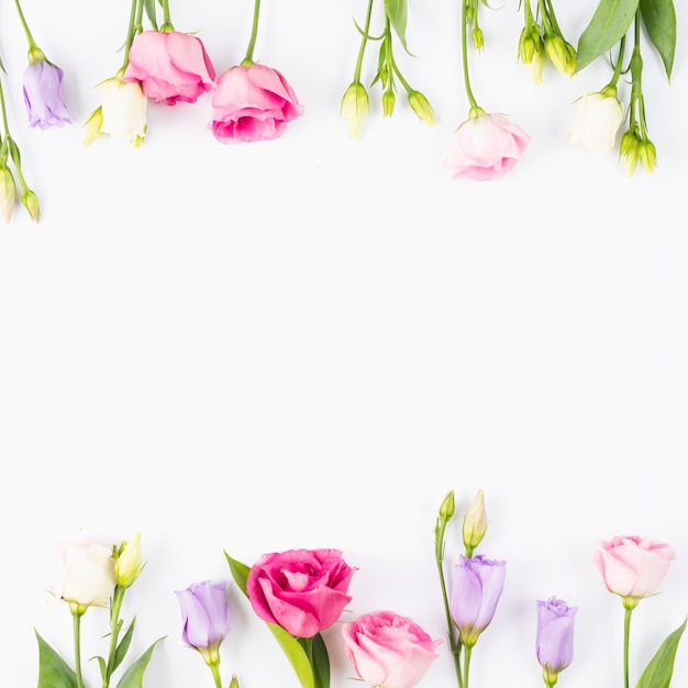 Cornice di rose e fiori viola