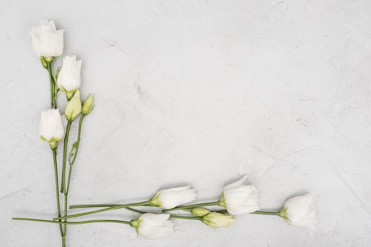 Foto gratuito cornice minimalista fatta di rose