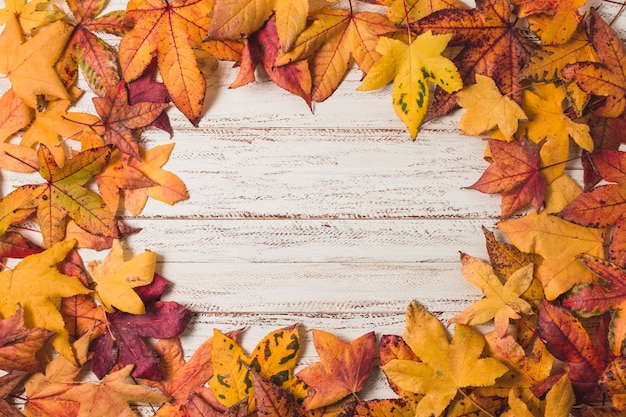 Cornice piatta foglie d&#39;autunno