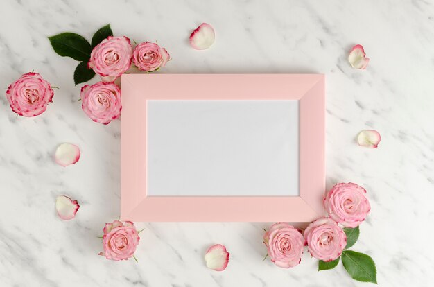 Cornice rosa con rose eleganti