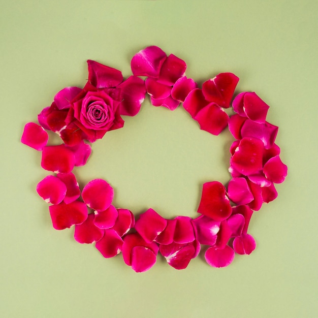 Cornice rotonda petalo di rosa rossa