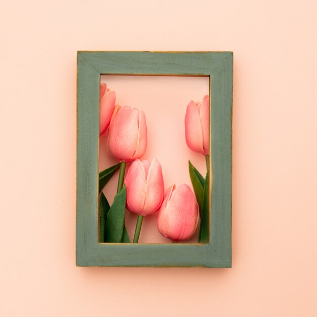 Cornice verde con tulipani