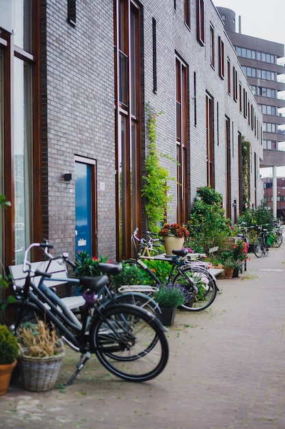 cortili accoglienti di Amsterdam, panchine, biciclette, fiori in vasche.