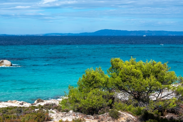 Costa del Mar Egeo con vegetazione intorno, rocce, cespugli e alberi, acqua blu con onde, Grecia