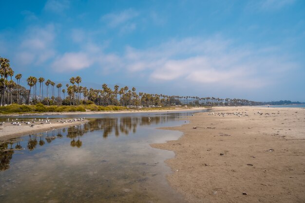 Costa di San Francisco circondata da alberi sotto un cielo blu