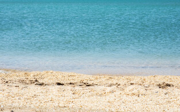 Costa sabbiosa di un mare o oceano blu