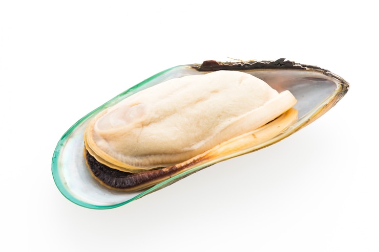 Foto gratuito cozze isolate