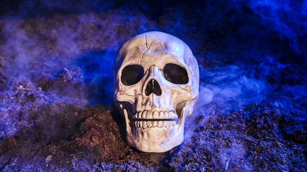 Cranio tenebroso illuminato da una luce blu sul terreno
