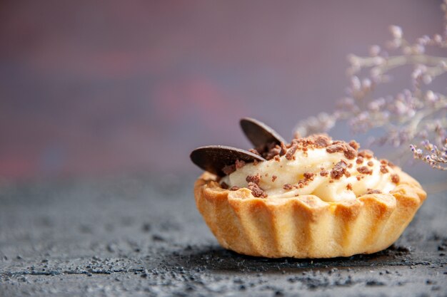 Crostata al cioccolato vista frontale su sfondo isolato