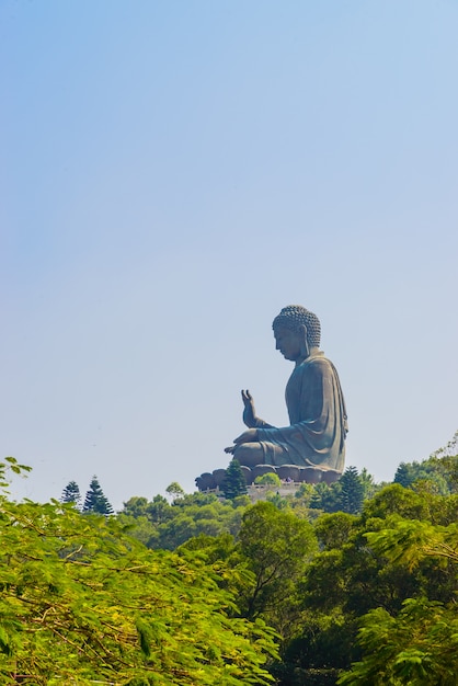 cultura grande testa Buddah asiatico