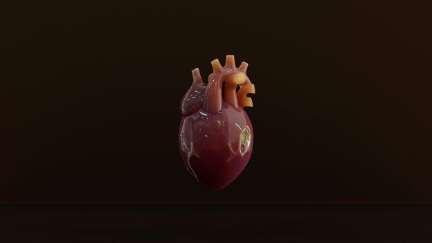 Cuore anatomico con fondo marrone