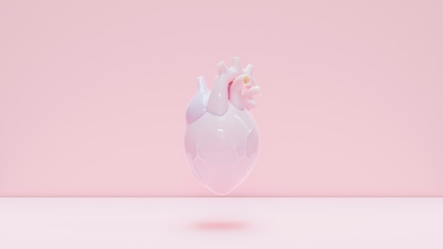 Cuore anatomico con sfondo rosa