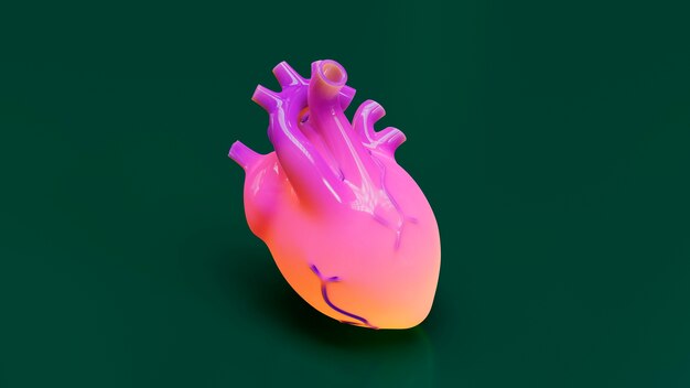 Cuore anatomico rosa con sfondo verde