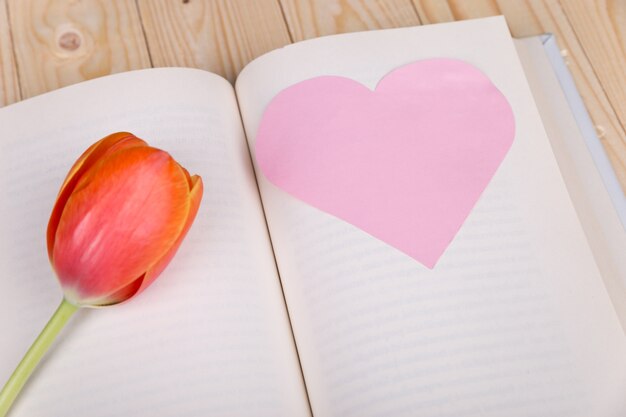 Cuore di carta e rosa nel libro