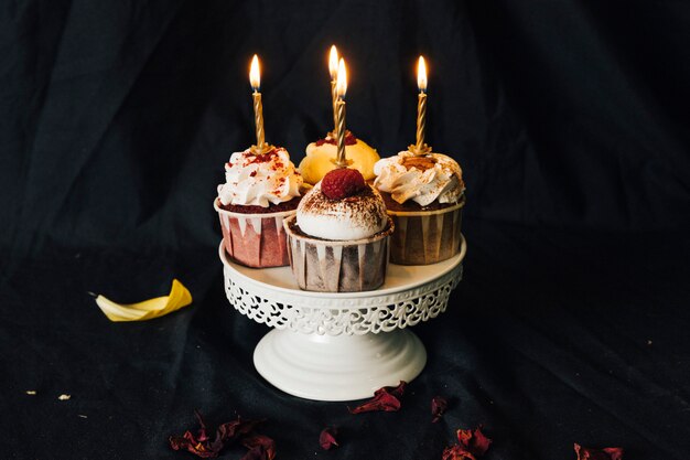 Cupcake still life