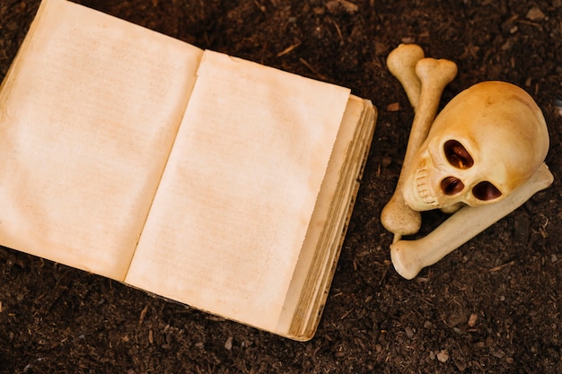 Decorazione di Halloween con il cranio e il libro