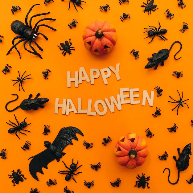 Decorazione di Halloween con zucche e insetti