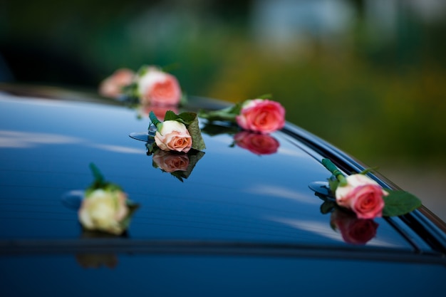 Delicati boccioli di rosa rosa messi sul cofano dell&#39;auto