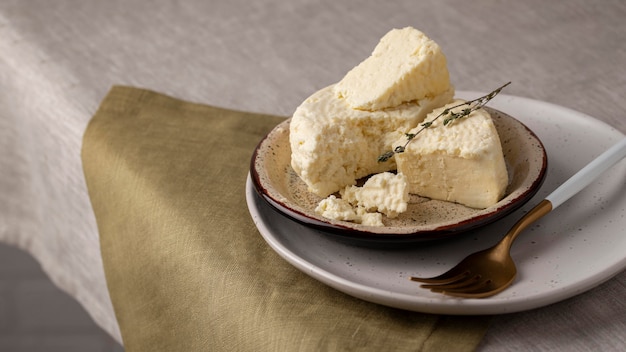 Deliziosa composizione di formaggio paneer