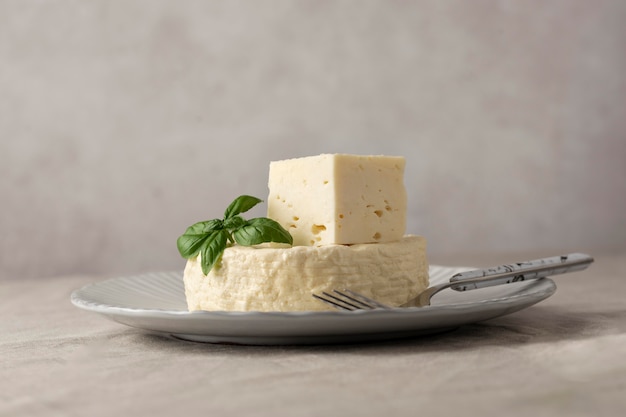 Deliziosa composizione di formaggio paneer