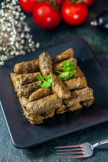 Deliziosa foglia dolma vista frontale con pomodori rossi su sfondo scuro