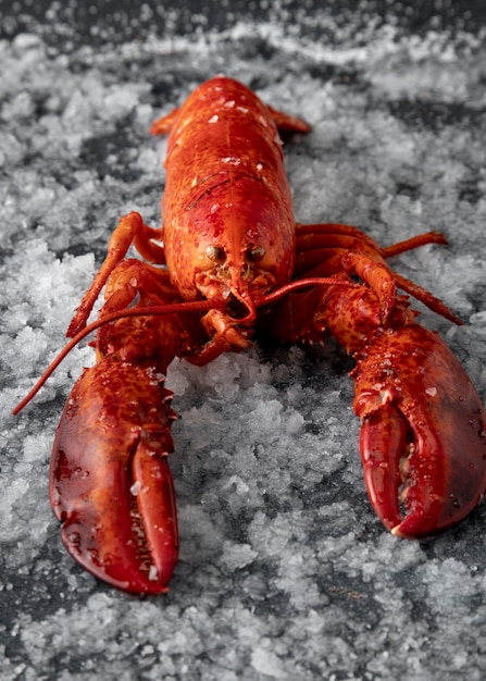 Deliziosi frutti di mare cucinati