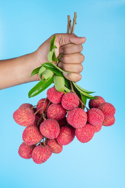 delizioso frutto di litchi