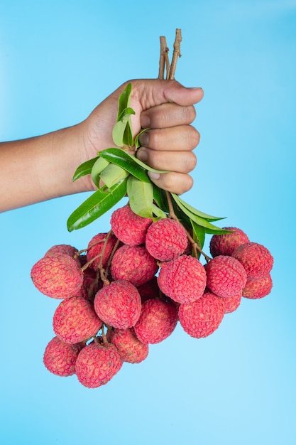 delizioso frutto di litchi