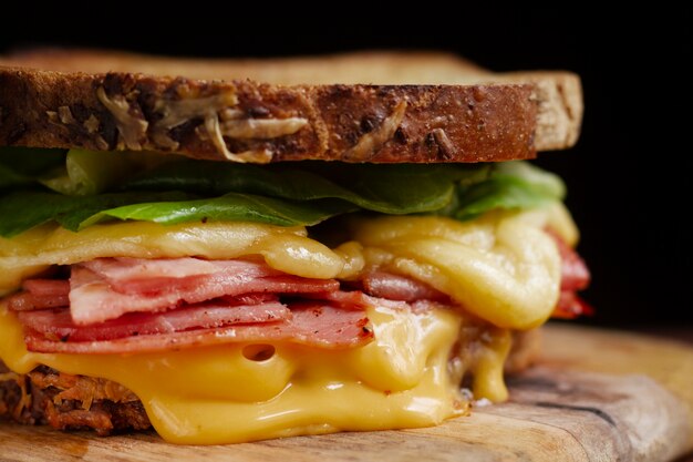Delizioso panino con formaggio fuso e prosciutto