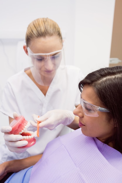 Dentista che mostra i denti di modello al paziente femminile