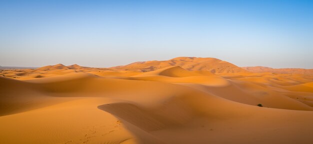 Deserto del Sahara sotto la luce del sole e un cielo blu in Marocco in Africa