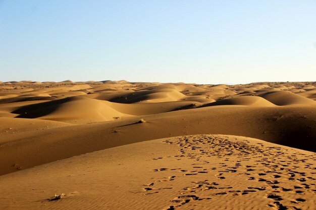 deserto