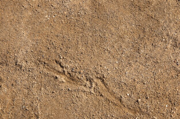 dettaglio della consistenza del suolo in primo piano